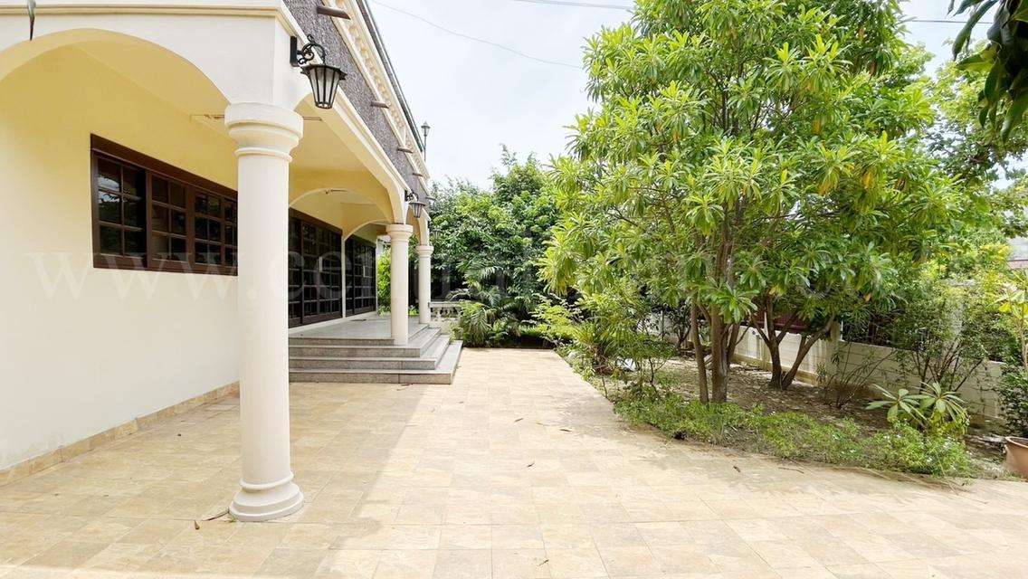 บ้านเดี่ยว 257 ตร.วา ชวนชื่น กรีน วิลล์ พุทธมณฑลสาย 2 หลังมุม  3