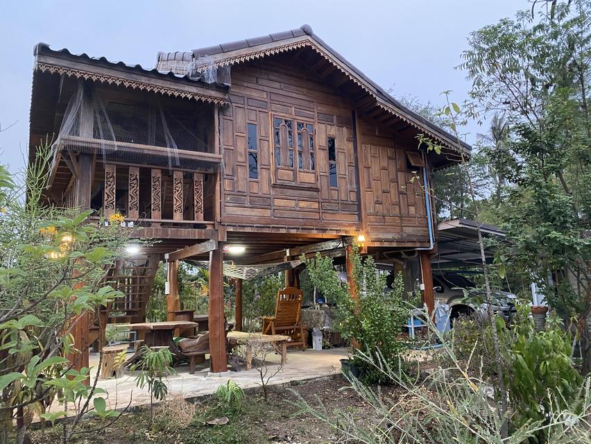 บ้านสวนคุณใหม่ (ดอยสะเก็ด) เชียงใหม่ 7