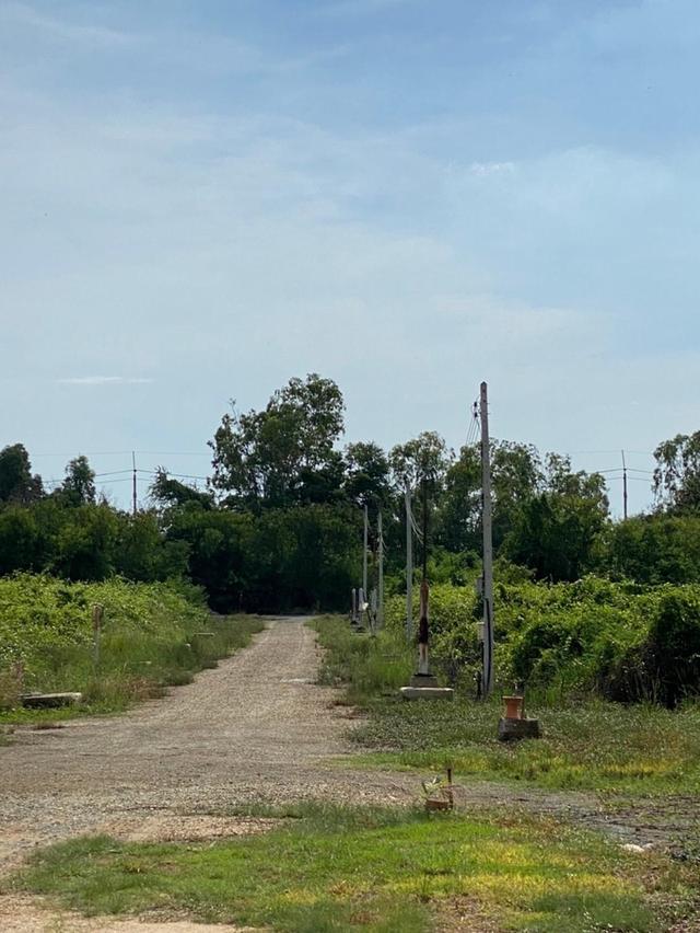 ที่ดินเปล่า 256 ตร.ว. ติดเลค ใกล้สนามกอล์ฟบางปู 1.2 กม. สมุทรปราการ สงบ เป็นส่วนตัว 7