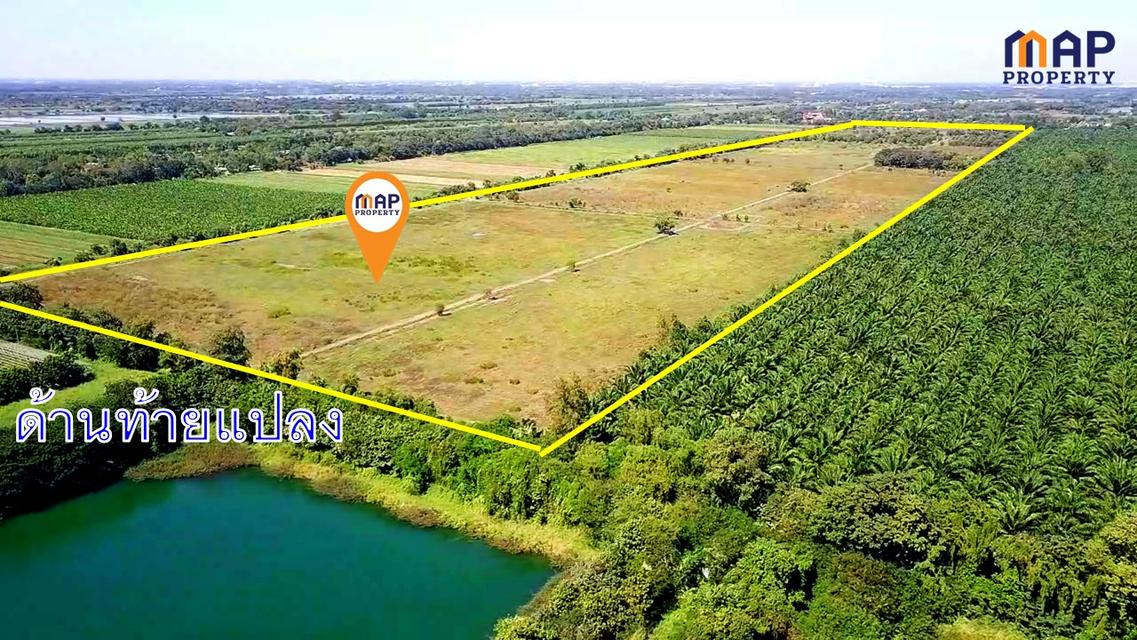 ขายถูกที่ดินแปลงใหญ่ อ.วิหารแดง จ.สระบุรี 4