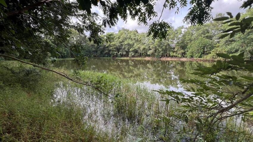 ขายที่ดิน ทับมา ระยอง แปลงสวย วิวธรรมชาติ ติดคลอง 8-2-93 ไร่ 6