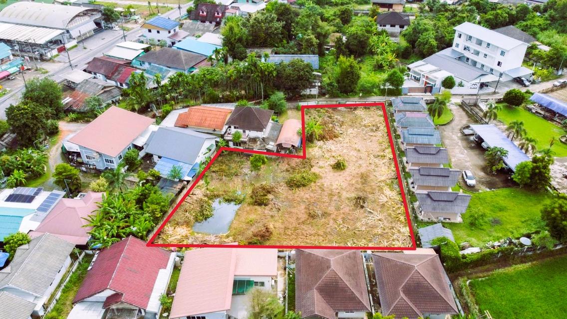 ขายที่ดินเปล่า 1 ไร่ 50 ตร.ว. บ้านป่าไร่ ซ.4 เดินทางสะดวก ใกล้ม.ราชภัฏเชียงราย ( เจ้าของขายเอง ) 14