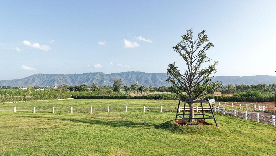 ขายที่ดินเขาใหญ่ ปากช่อง ถนนเส้นทอสคาน่า วิวอุทยานเขาใหญ่ และ Toscsna 180 องศา ที่ดินถมแล้ว 1-2 เมตร พร้อมปลูกสร้างได้ทันที 5
