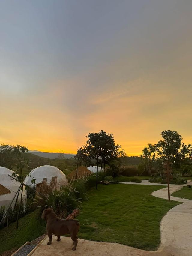 D Kanda Glamping วังน้ำเขียว  5 ไร่ 14 ล้าน 9