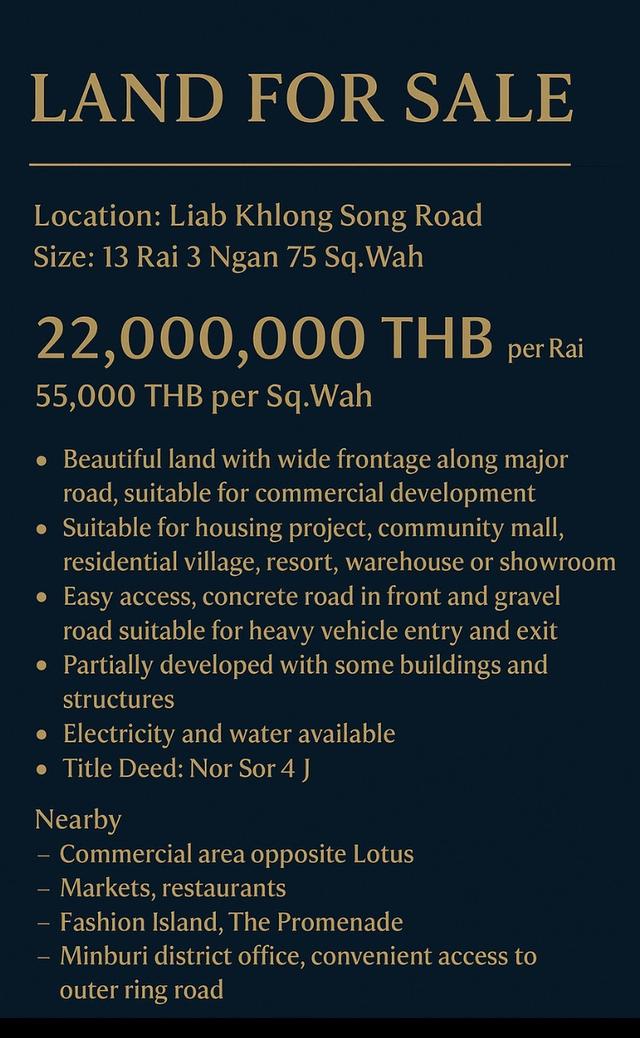 ขายที่ดินติดถนนใหญ่ ทำเลสวย  3