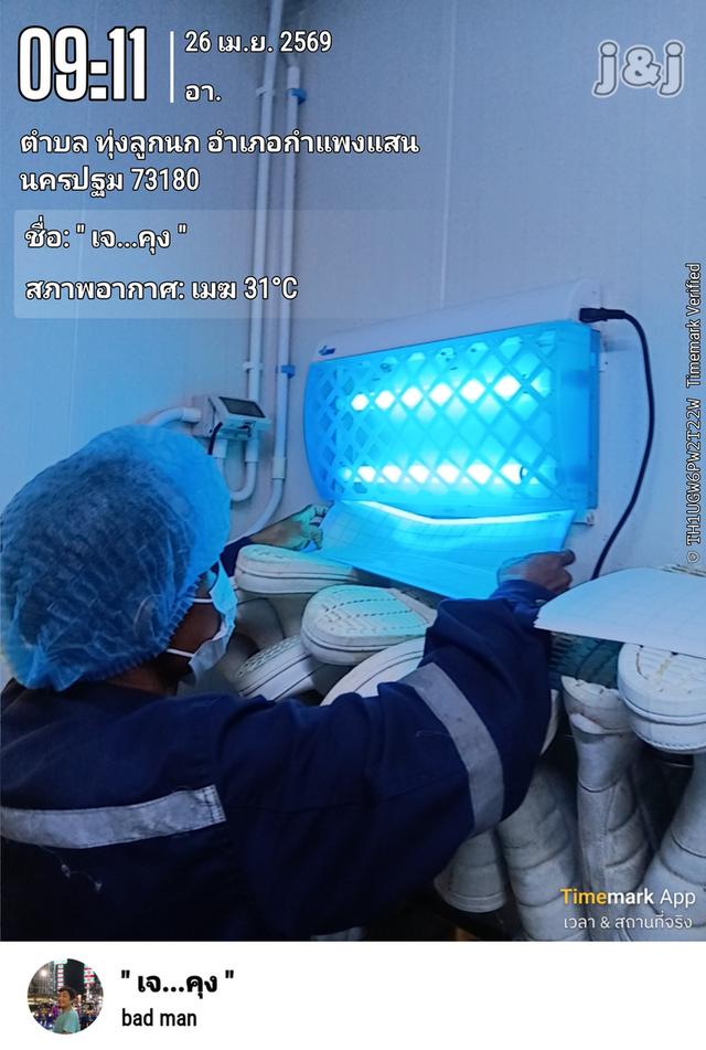 รับกำจัดปลวกและแมลง 4,000 /ปี กทม.สำรวจพื้นที่ฟรี มีทั้งแบบอัดน้ำยา ระบบเหยื่อ รูปที่ 3
