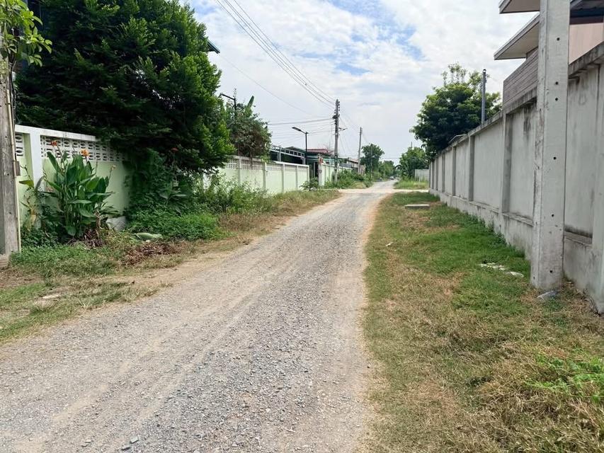 Vายด่วนที่ดินสร้างบ้านสวน 4 ไร่ ติดถนนหินคลุก อ.ลาดหลุมแก้ว จ.ปทุมธานี 8