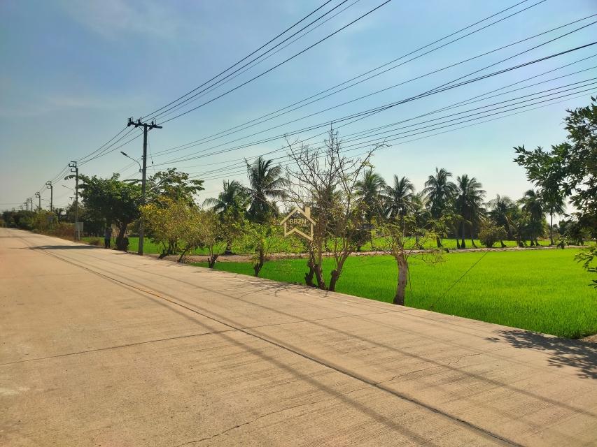 ขาย ที่ดิน 4 ไร่ 1 งาน 59.6 ตารางวา อ.ไทรน้อย จ.นนทบุรี 4