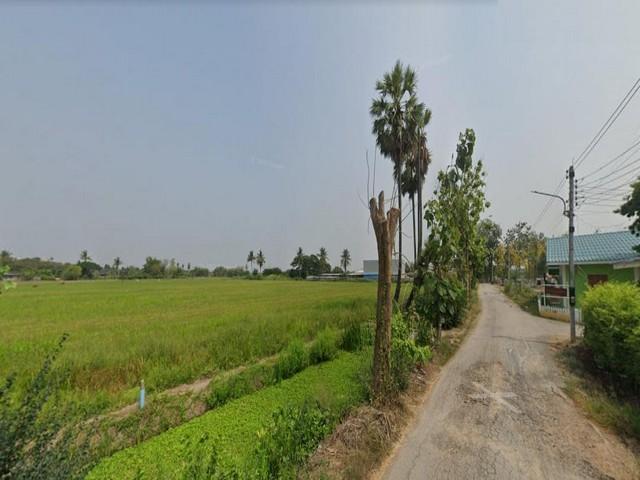 รูป PM14 ขายที่ดิน 40 ไร่ โพธาราม ราชบุรี  ทำเลดี แหล่งชุมชน ใกล้แยกบางแพ ตำบลวัดแก้ว อำเภอบางแพ จังหวัด ราชบุรี