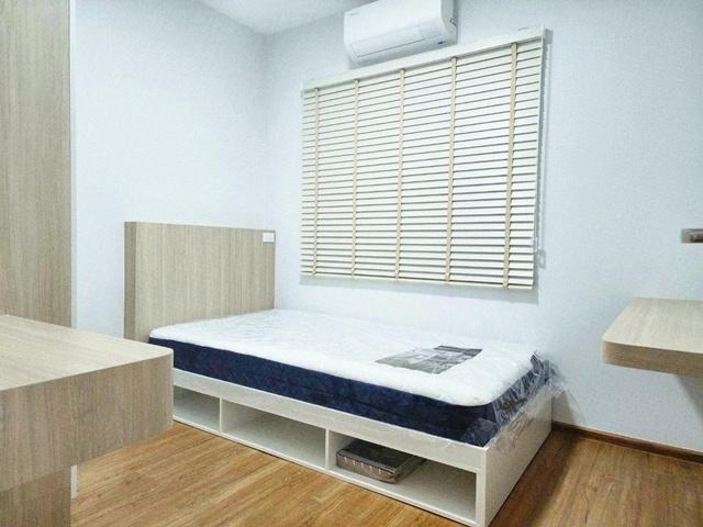 พลีโน่ สุขุมวิท-บางนา เมกา บางนา 1.9กม.พร้อมเฟอร์ฯ 3นอน คอนคอร์เดียน 900 ม. MRT ศรีแบริ่ง 4.5 กม. ให้เช่าทาว์โฮมหรู 2 ชั 5