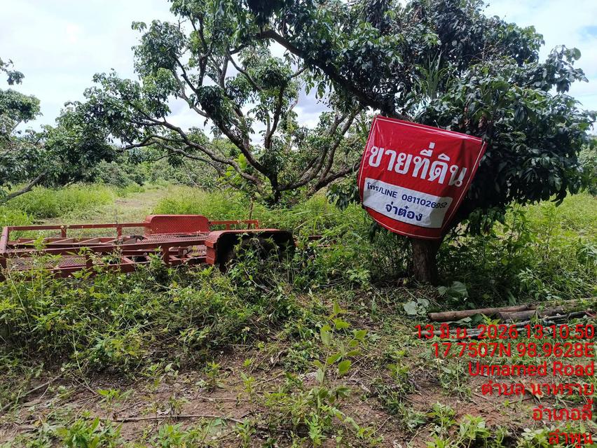 ที่ดินเปล่า และพร้อมสิ่งก่อสร้าง 12