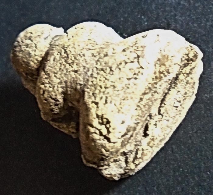 พระปิดตา พิมพ์แจกแม่ครัว ยุคต้น ลพ.ทองสุข วัดสะพานสูง รูปย่อยที่ 4