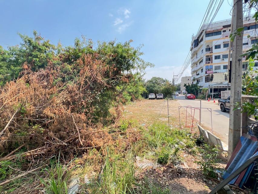 ขายที่ดินซอยกอไผ่ พัทยา จังหวัดชลบุรี 7