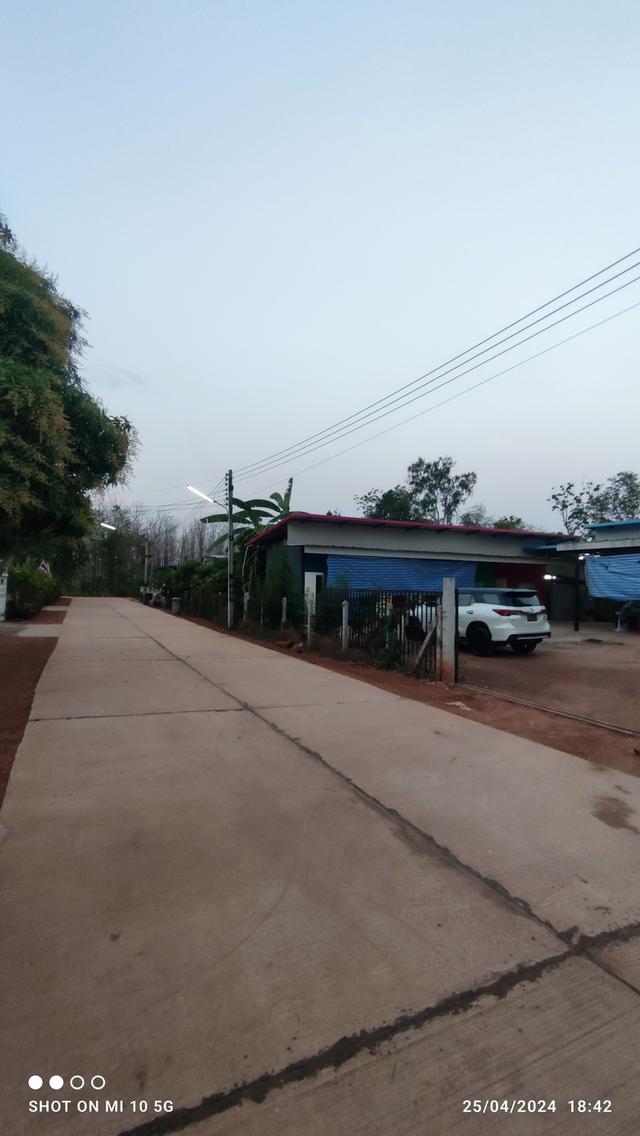 บ้านสวนและที่ดินเปล่า 10