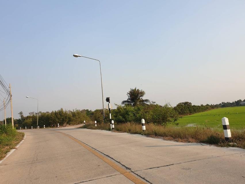ขายที่ดิน 6-2-13 ไร่ ทำเลศักยภาพ สามโคก ปทุมธานี 7