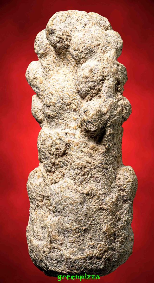 พระนาคปรกกรุนาดูน มหาสารคาม 4