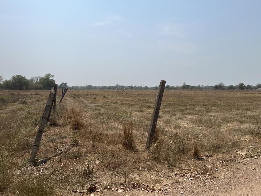 ขายที่ดิน 15 ไร่ ทำเลดี ติดกองบิน 4 ตาคลี เข้า ออกสะดวก น้ำไม่ท่วม 5