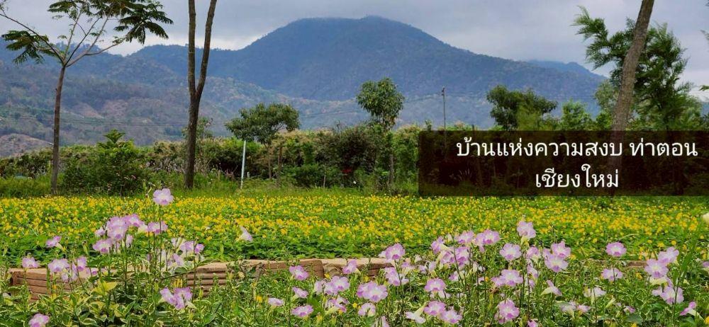ขายที่ดินพร้อมบ้านพักตากอากาศ วิวเขาล้อมรอบ เงียบสงบ ตรงข้ามวัดท่าตอน จ.เชียงใหม่  4