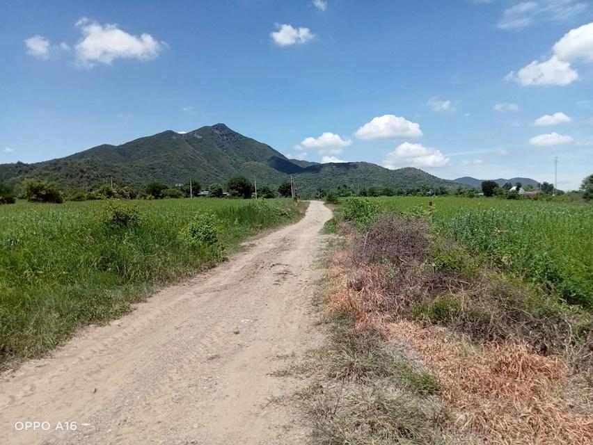 ที่ดิน ห้วยโป่ง โคกสำโรง จ. ลพบุรี 16