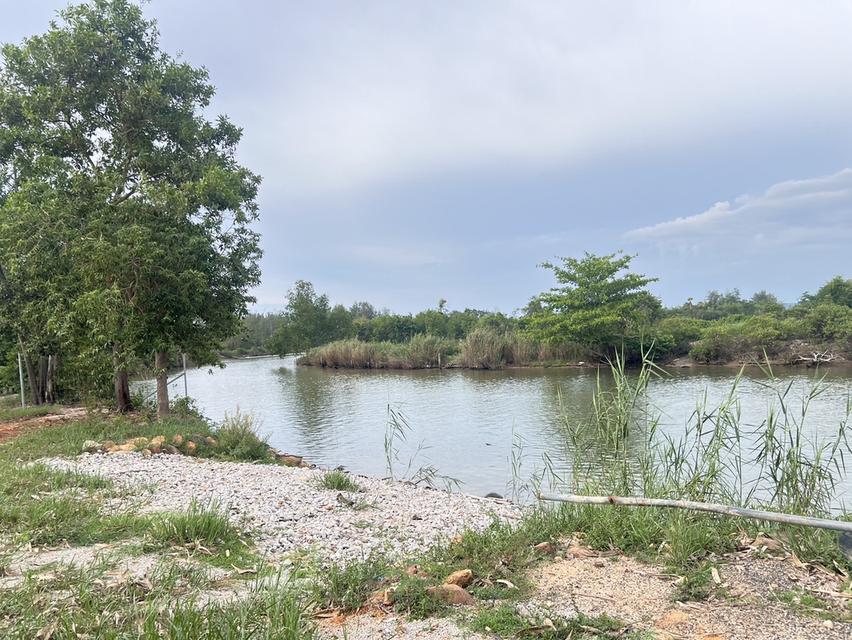 ขายบ้านพร้อมที่ดินติดทะเล บรรยากาศดี เนื้อที่กว่า 1 ไร่ 8