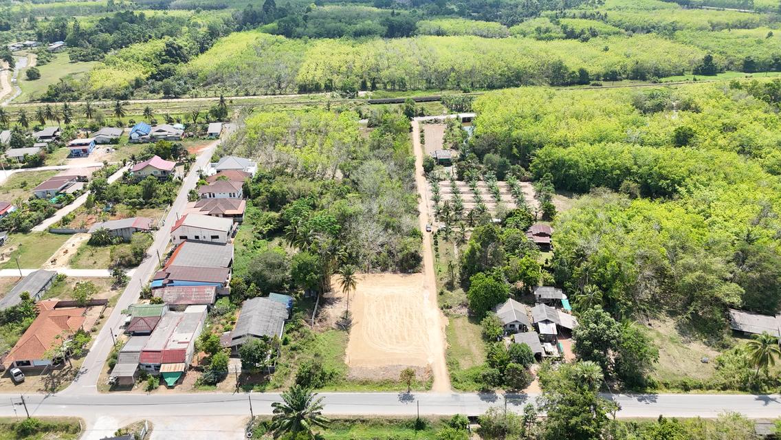 ที่ดินเปล่า 200 ตารางวา 6