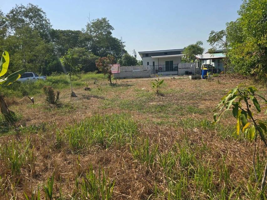 ขายด่วนที่ดิน 63 ตารางวา ) (ติดถนนสาธารณะ ประชา1 แขวงคลอง สิบสอง เขตหนองจอก กทม. 9