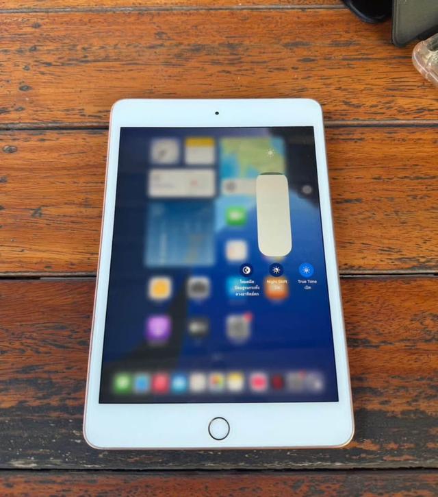 Ipad mini5 64g 2