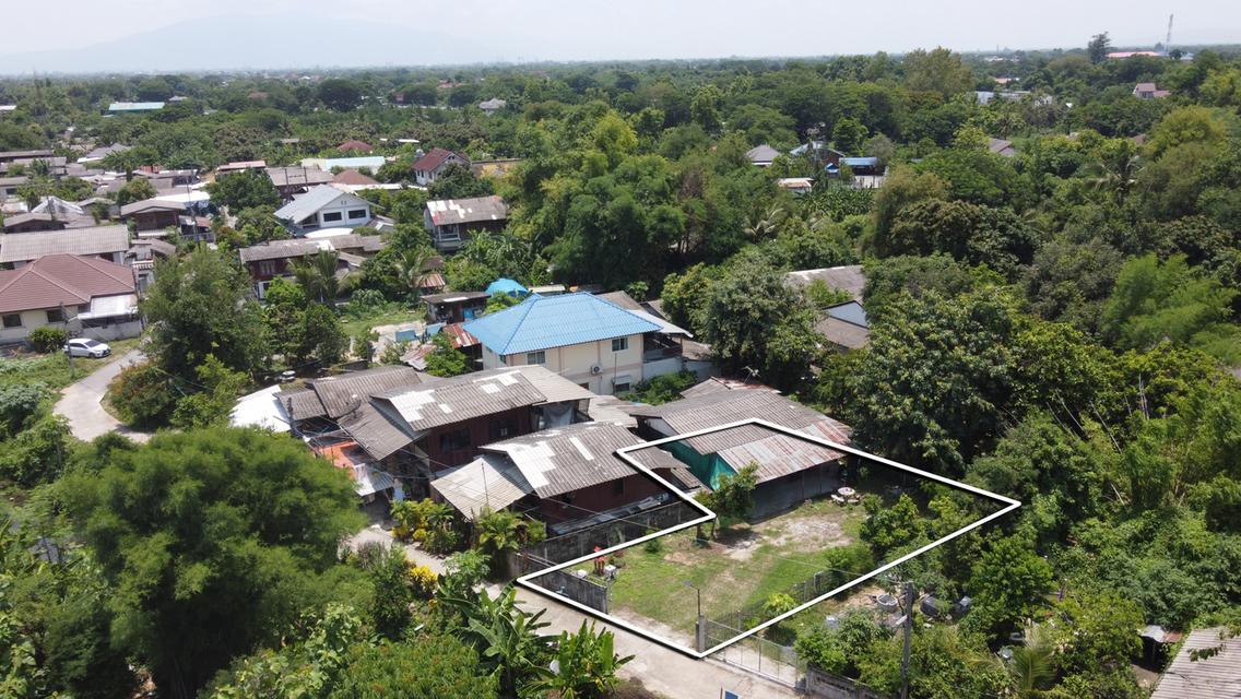 ขายบ้านพร้อมที่ดิน 88 ตร.ว. บ้านป่าไผ่ ใกล้ถนน 1317 เพียง 500 เมตร 8