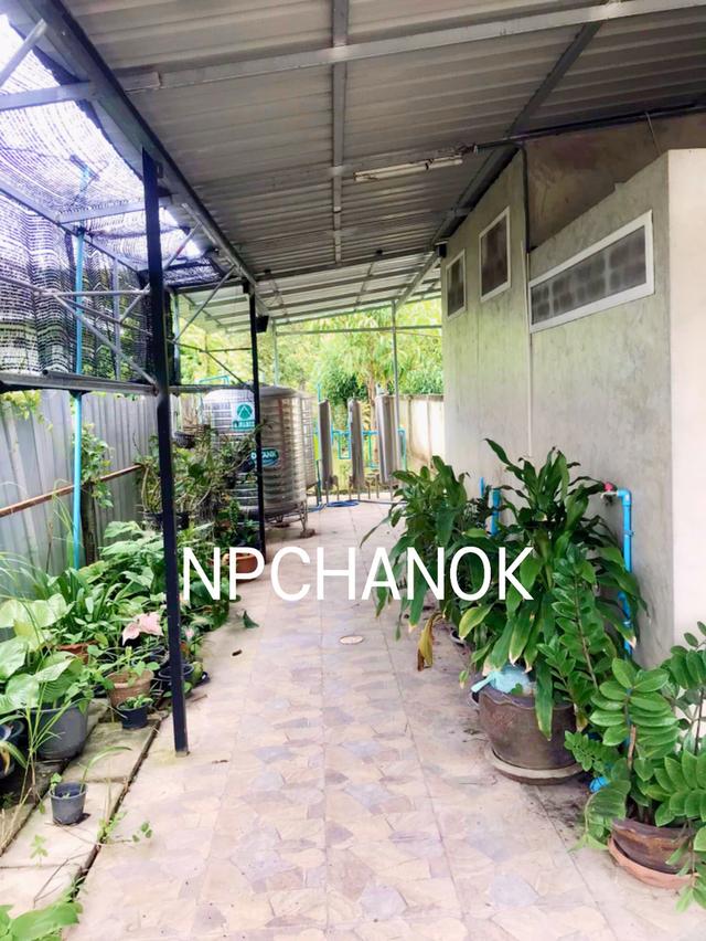 ขายบ้านเดี่ยว นครนายก วิวเขา สงบ 17