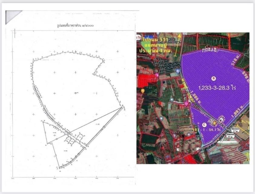ขายที่ดินเขาคันทรงศรีราชาชลบุรี จำนวน 1,227-3-28.3ไร่ รวม3โฉนด ขายยกแปลง พื้นที่สีม่วงลาย) 6