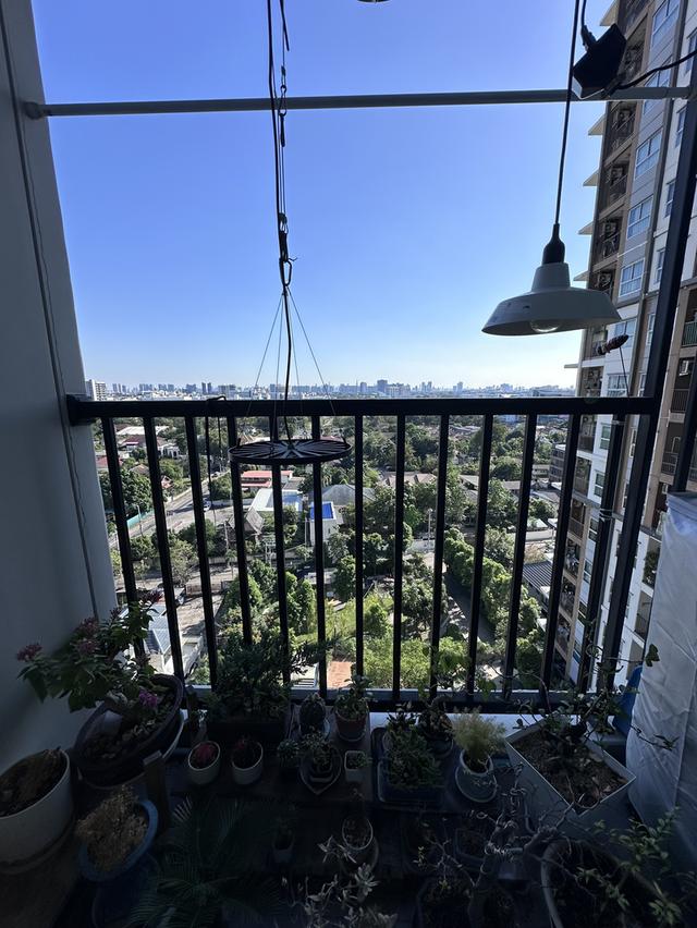 เดอะทรัสต์คอนโดงามวงศ์วาน 7