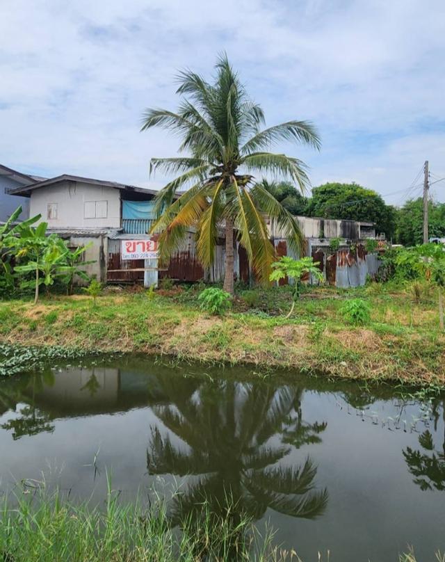 บ้าน2ชั้นพร้อมที่ดิน 1