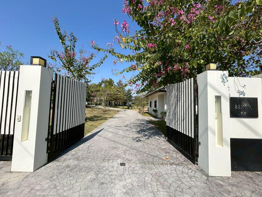 ขายบ้านและพร้อมที่ดิน 13