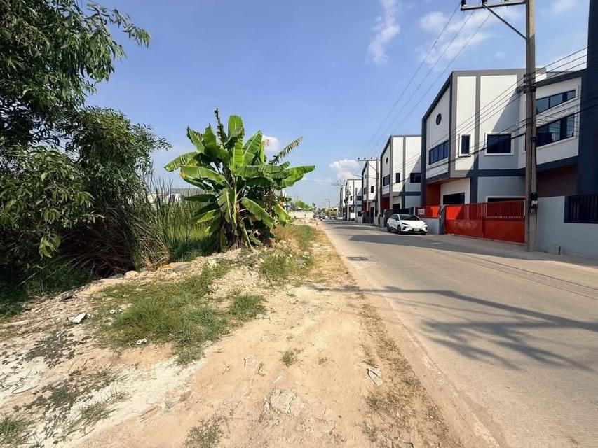 Vายที่ดินทำเลดี 2 ไร่ ติดถนนคอนกรีต ซอยบงกช 14 คลองสองปทุมธานี 4
