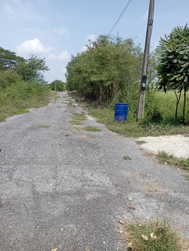 ที่ดินคลอง10 หนองเสือ  แปลงละ60 ตารางวา ราคา300000บาท 9