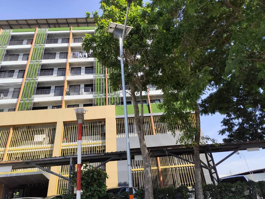 ขายที่ดินเปล่า แปลง 1-9 ไร่แปลงสวย มีบ่อน้ำใส แบ่งได้ กำแพงแสน นครปฐม 15