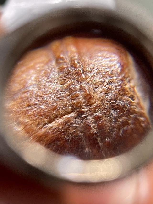 ตะโพนหลวงพ่อภักตร์ วัดโบสถ์หัวกะบัง อ่างทอง 9