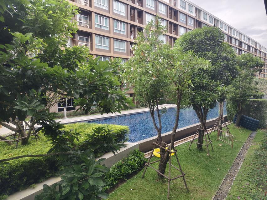 ปล่อยเช่าคอนโดดีคอนโดครีก ภูเก็ต 2