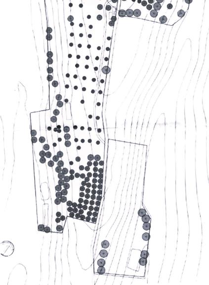 ที่ดินเชียงใหม่ อ.เชียงดาว ต.เชียงดาว 4