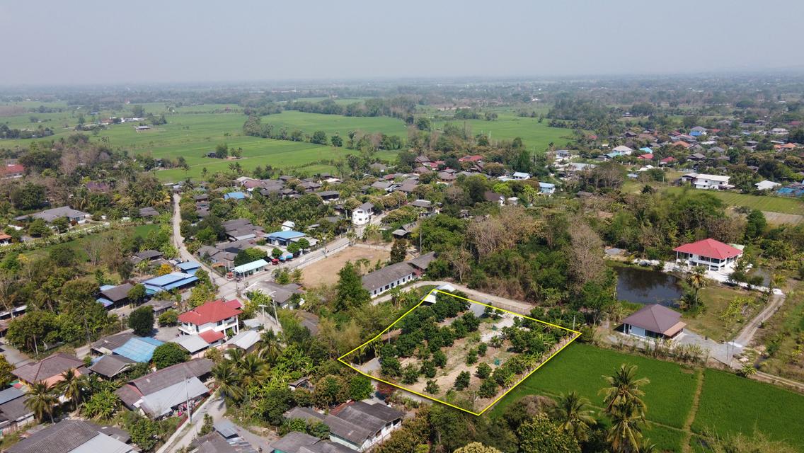  ที่ดินสวนลำไย 1-1-25 ไร่ วิวภูเขา ติดถนนคอนกรีต 2 ด้าน 6