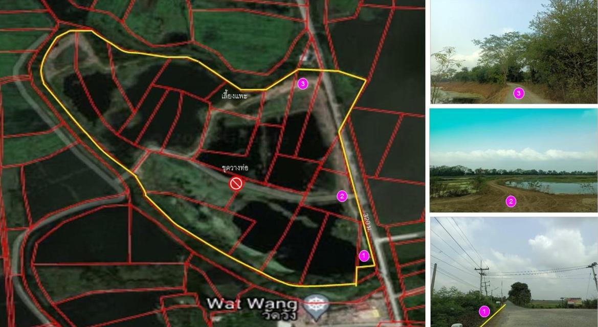 ขายที่ดินเปล่า 113-0-60 ไร่ ทำเลดี จ.พระนครศรีอยุธยา ( มหาราช ) 1