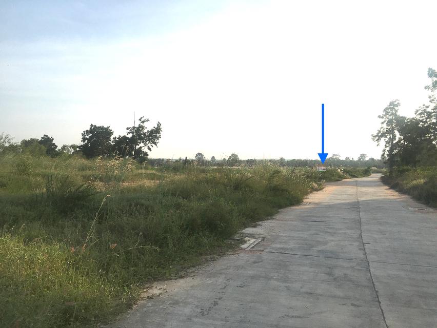 ขายที่ดินผังเมือง EEC เนื้อที่ 12.5ไร่ ติดถนน 85เมตร ลึก 300เมตร ตำบลบึง ศรีราชา ชลบุรี ใกล้นิคมปิ่นทอง ใกล้ตลาดบึงวรกิจ ใกล้ ทล.3009 5