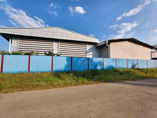 ขายโกดังโรงงานบ่อทองชลบุรี เนื้อที่ 4-2-73 ไร่ พื้นที่สีเหลืองอ่อนเขต EEC ธุรกิจเดิมผลิตไม้พาเลท 1