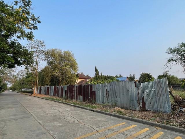 PP462 ขายที่ดินขนาด 296 ตารางวา ซอยศรีนครินทร์ 55 ซอยหมู่บ้านเสรีวิลล่า ใกล้ถนนศรีนครินทร์ สวนหลวงร.9 หลังห้างพาราไดซ์พาร์ค 3