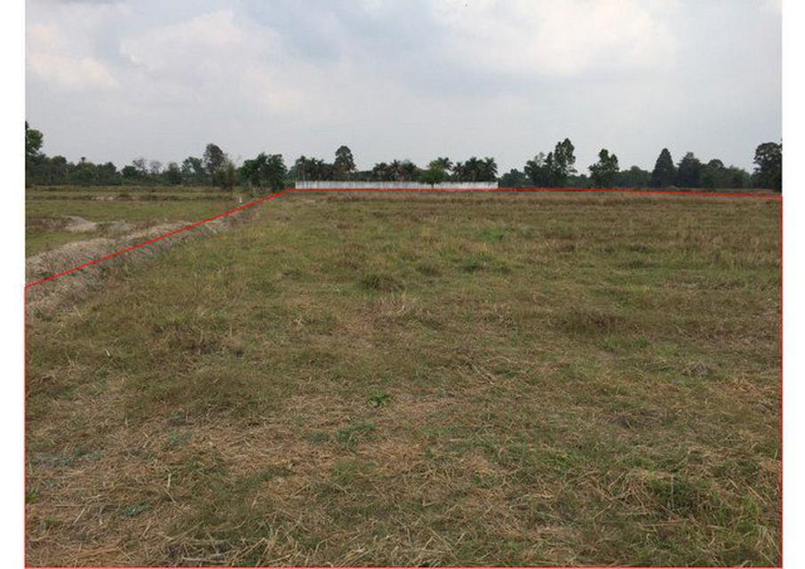 รูป ขายที่ดิน อ.ศรีมโหสถ จ.ปราจีนบุรี 17ไร่ๆละ270,000บ 1
