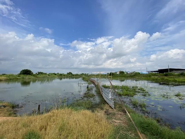 ขายที่ดินเปล่า ทำเลดี เจ้าของขายเอง ตำบลคลองด่าน อำเภอบางบ่อ สมุทรปราการ 19