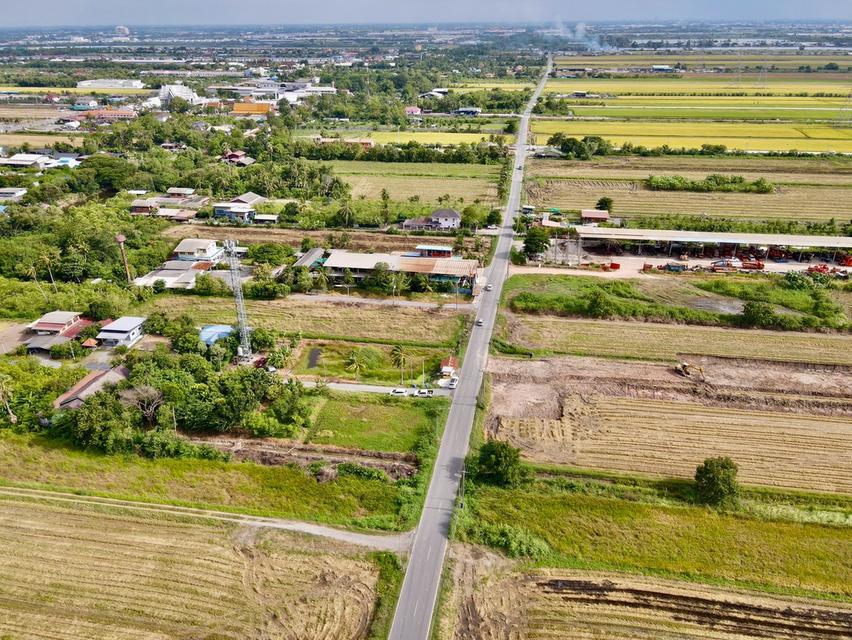ขายที่ดินคลอง 8 หลังวัดดอนใหญ่ ตำบล ลำลูกกา อำเภอลำลูกกา ปทุมธานี 2