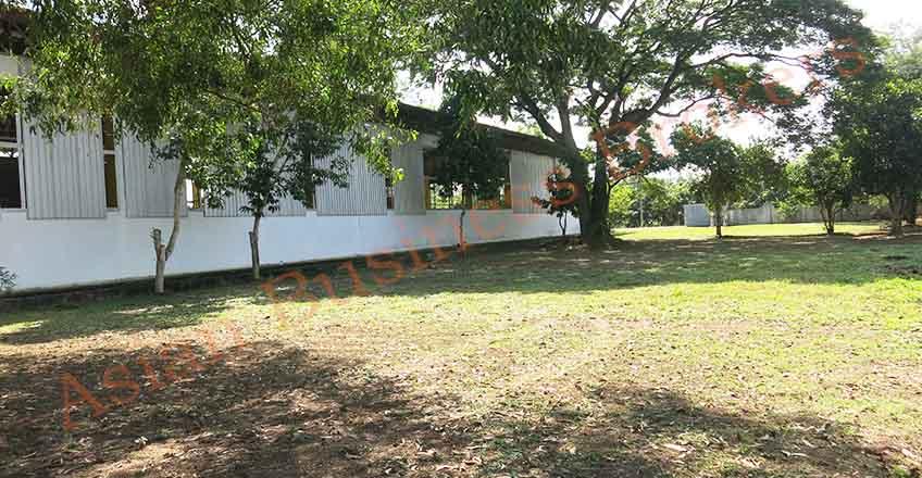 1012002 ขายโรงงาน และที่ดิน จังหวัดเชียงใหม่ 1