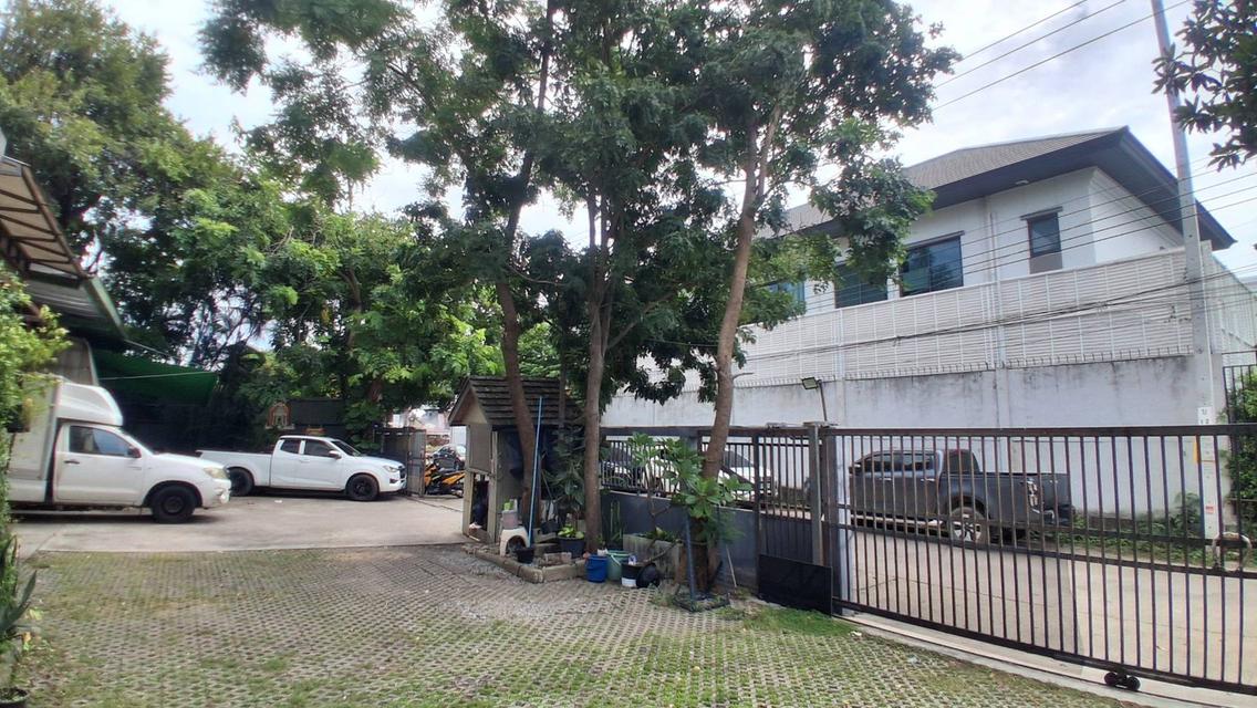 อาคาร 4 ชั้น แบริ่ง 31 บางนา สำนักงาน ออฟฟิศ โรงงาน 5