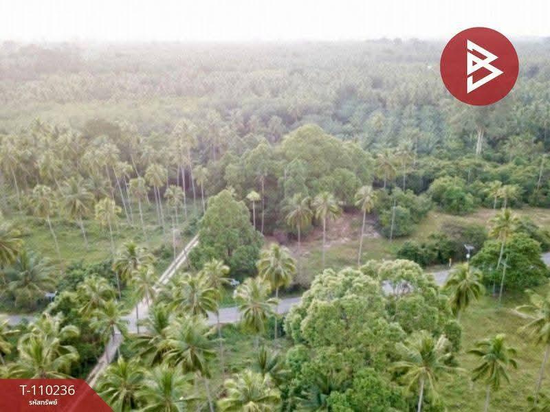 ขายที่ดินติดทะเล เนื้อที่ 45 ไร่ 3 งาน 21.0 ตารางวา ตำบลสระแก้ว ท่าศาลา นครศรีธรรมราช 7